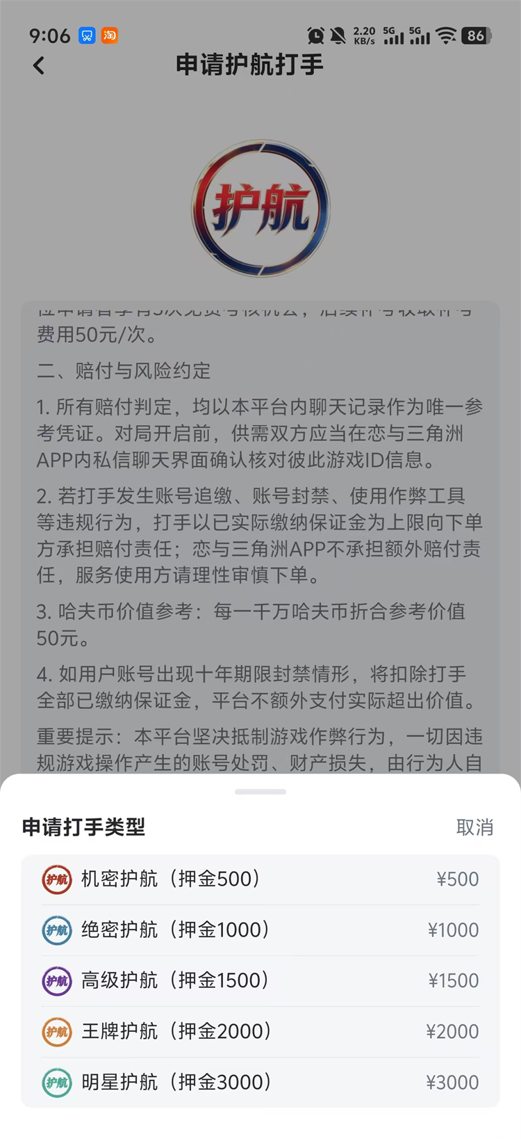 申请护航打手